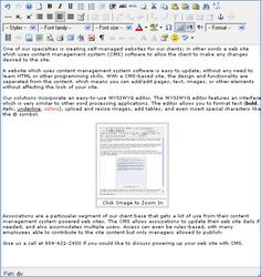 Easy-to-use text editor for websites which uses content management system