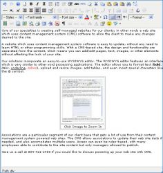 Easy-to-use text editor for websites which uses content management system